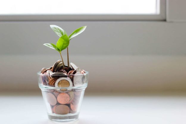 A plant growing from money - Mindset to become rich
